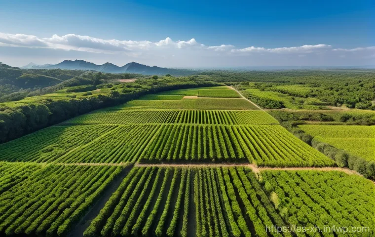 산림농업 시스템과 대기 오염의 관계 - **"The Green Lung of Our Fields" (El Pulmón Verde de Nuestros Campos)**
A breathtaking wide-angl...