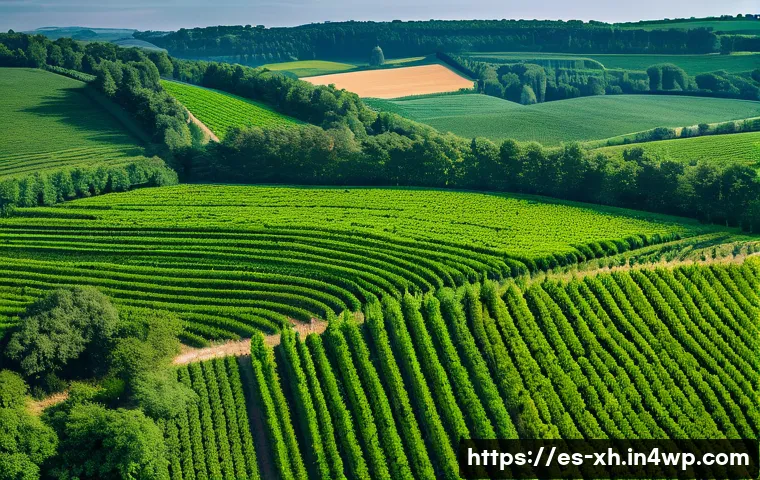 산림농업 시스템의 시장 동향 분석 관련 이미지 1