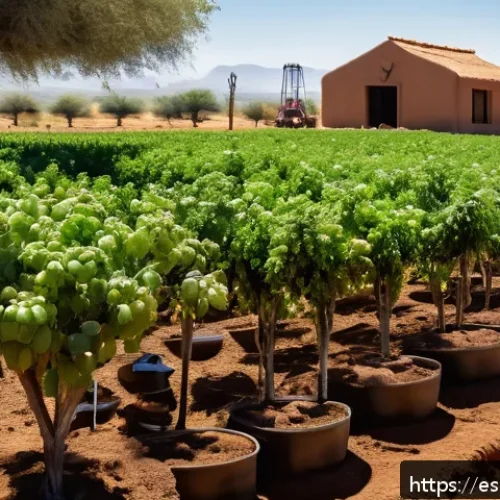 Home 17 산림농업 시스템의 관개 기술 및 방법 - A modern agroforestry farm in a semi-arid region of Mexico featuring advanced irrigation technology:...